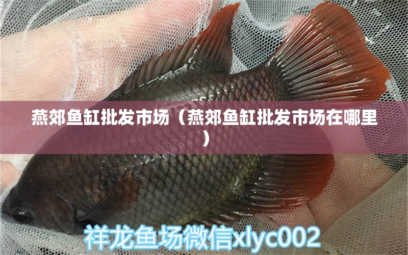 燕郊魚缸批發(fā)市場（燕郊魚缸批發(fā)市場在哪里） 其他品牌魚缸