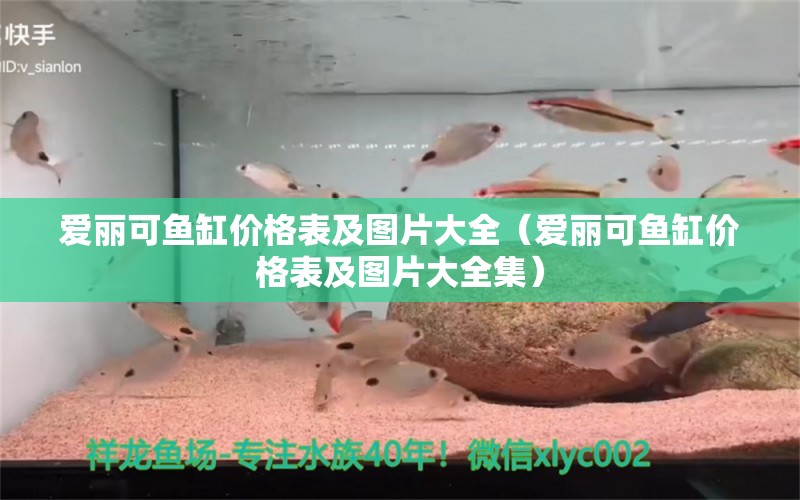 愛麗可魚缸價格表及圖片大全（愛麗可魚缸價格表及圖片大全集）