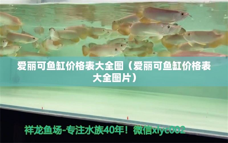 愛麗可魚缸價(jià)格表大全圖（愛麗可魚缸價(jià)格表大全圖片）