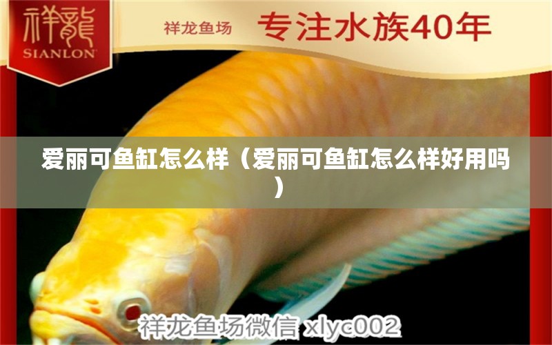 愛麗可魚缸怎么樣（愛麗可魚缸怎么樣好用嗎）