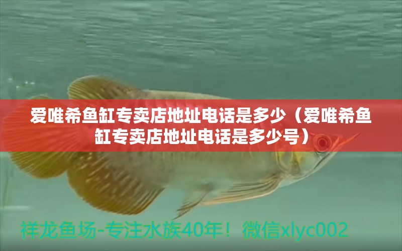 愛唯希魚缸專賣店地址電話是多少（愛唯希魚缸專賣店地址電話是多少號(hào)） iwish愛唯希品牌魚缸