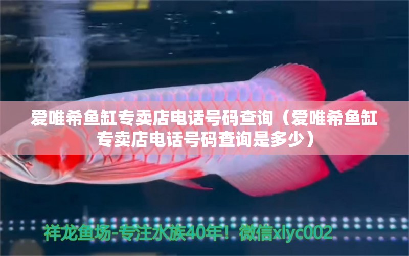 愛唯希魚缸專賣店電話號碼查詢（愛唯希魚缸專賣店電話號碼查詢是多少） iwish愛唯希品牌魚缸