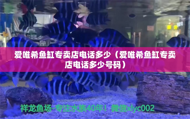 愛唯希魚缸專賣店電話多少（愛唯希魚缸專賣店電話多少號碼） iwish愛唯希品牌魚缸