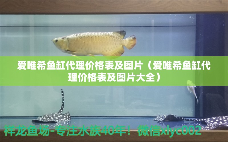 愛唯希魚缸代理價(jià)格表及圖片（愛唯希魚缸代理價(jià)格表及圖片大全）