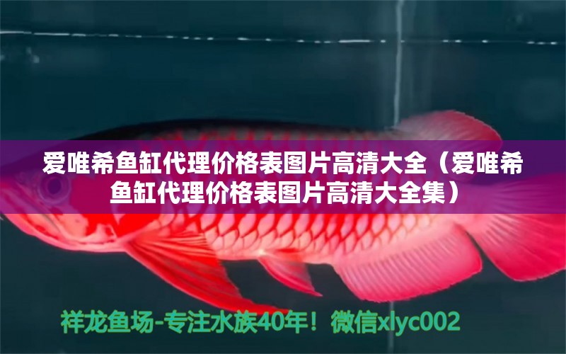 愛唯希魚缸代理價格表圖片高清大全（愛唯希魚缸代理價格表圖片高清大全集） iwish愛唯希品牌魚缸