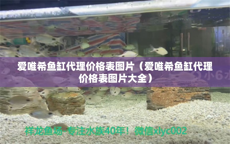 愛唯希魚缸代理價(jià)格表圖片（愛唯希魚缸代理價(jià)格表圖片大全）