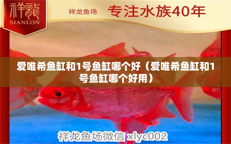 愛唯希魚缸和1號(hào)魚缸哪個(gè)好（愛唯希魚缸和1號(hào)魚缸哪個(gè)好用）