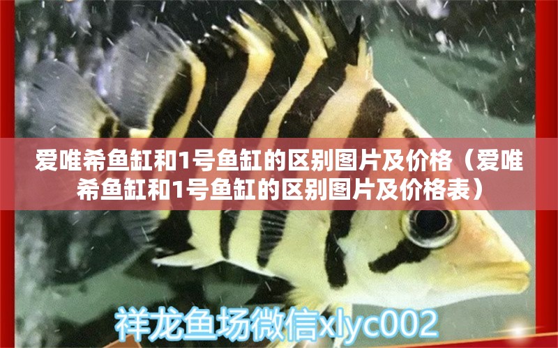 愛唯希魚缸和1號魚缸的區(qū)別圖片及價格（愛唯希魚缸和1號魚缸的區(qū)別圖片及價格表） iwish愛唯希品牌魚缸