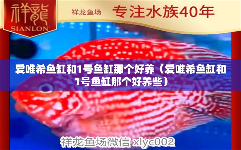 愛(ài)唯希魚(yú)缸和1號(hào)魚(yú)缸那個(gè)好養(yǎng)（愛(ài)唯希魚(yú)缸和1號(hào)魚(yú)缸那個(gè)好養(yǎng)些） iwish愛(ài)唯希品牌魚(yú)缸