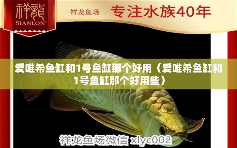 愛唯希魚缸和1號魚缸那個好用（愛唯希魚缸和1號魚缸那個好用些）