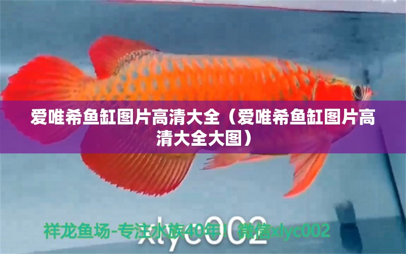 愛(ài)唯希魚(yú)缸圖片高清大全（愛(ài)唯希魚(yú)缸圖片高清大全大圖）