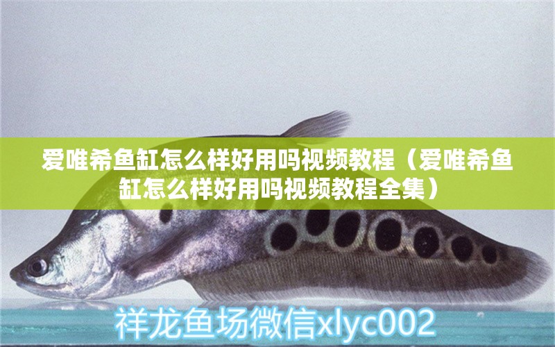 愛唯希魚缸怎么樣好用嗎視頻教程（愛唯希魚缸怎么樣好用嗎視頻教程全集） iwish愛唯希品牌魚缸