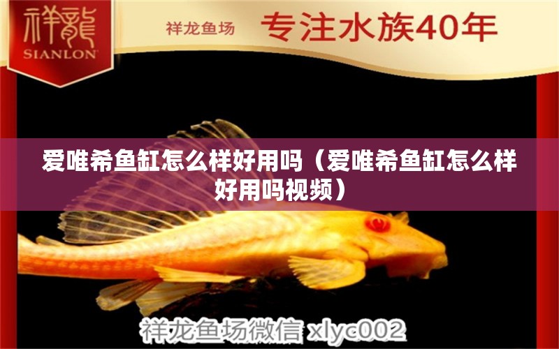 愛唯希魚缸怎么樣好用嗎（愛唯希魚缸怎么樣好用嗎視頻） iwish愛唯希品牌魚缸