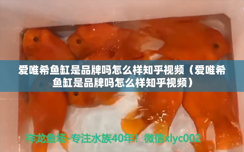 愛唯希魚缸是品牌嗎怎么樣知乎視頻（愛唯希魚缸是品牌嗎怎么樣知乎視頻）