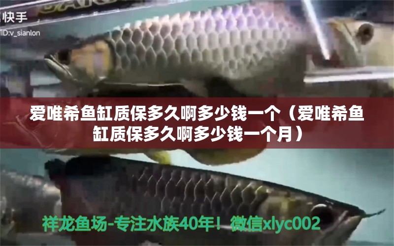 愛唯希魚缸質(zhì)保多久啊多少錢一個（愛唯希魚缸質(zhì)保多久啊多少錢一個月） iwish愛唯希品牌魚缸