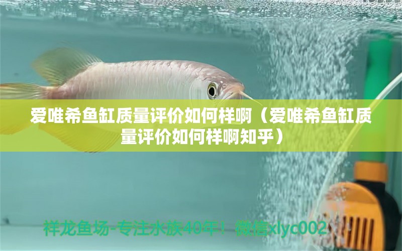 愛(ài)唯希魚(yú)缸質(zhì)量評(píng)價(jià)如何樣?。◥?ài)唯希魚(yú)缸質(zhì)量評(píng)價(jià)如何樣啊知乎）