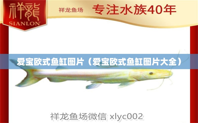 愛寶歐式魚缸圖片（愛寶歐式魚缸圖片大全） 觀賞魚市場（混養(yǎng)魚）