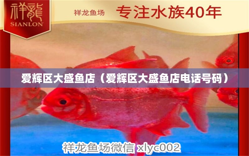 愛輝區(qū)大盛魚店（愛輝區(qū)大盛魚店電話號(hào)碼）