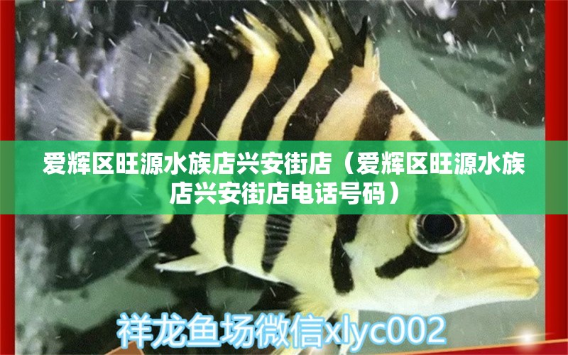 愛輝區(qū)旺源水族店興安街店（愛輝區(qū)旺源水族店興安街店電話號碼） 全國水族館企業(yè)名錄