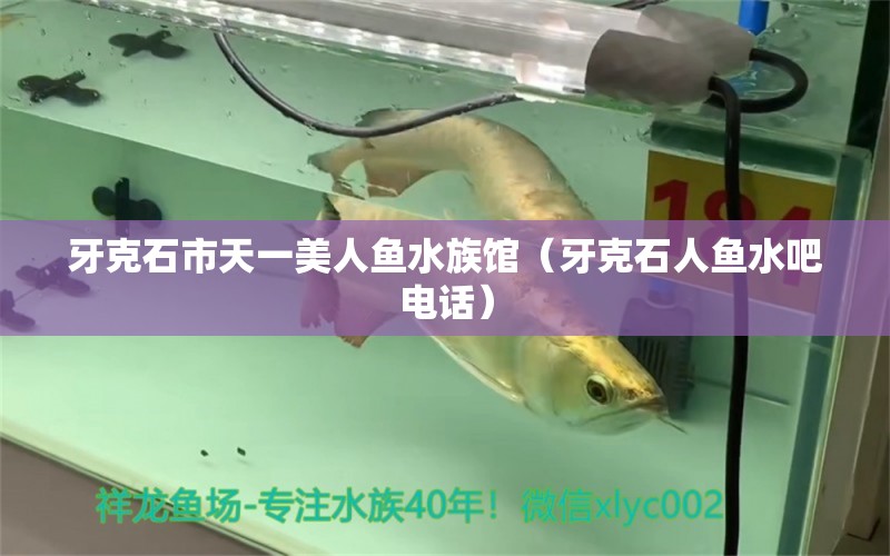 牙克石市天一美人魚水族館（牙克石人魚水吧電話）