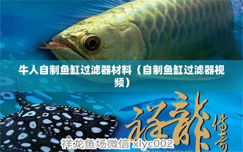 牛人自制魚缸過濾器材料（自制魚缸過濾器視頻） 熱帶魚魚苗批發(fā)