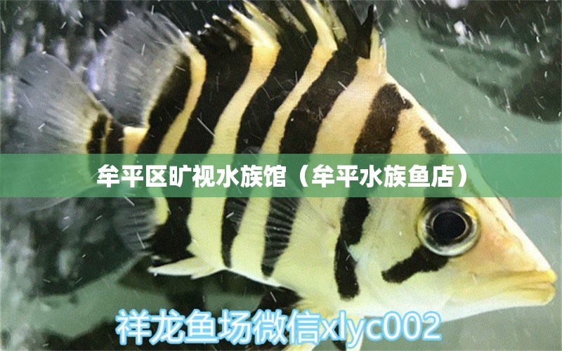 牟平區(qū)曠視水族館（牟平水族魚店） 全國(guó)水族館企業(yè)名錄