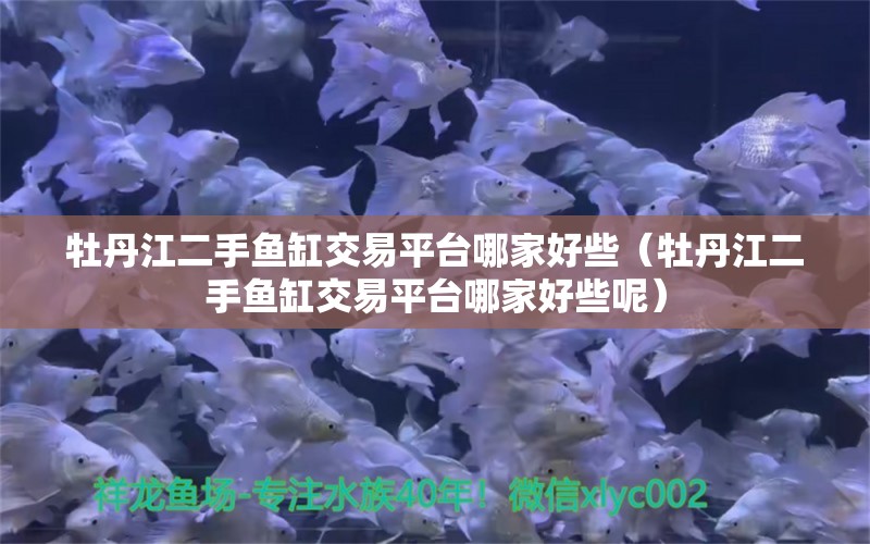 牡丹江二手魚缸交易平臺哪家好些（牡丹江二手魚缸交易平臺哪家好些呢）