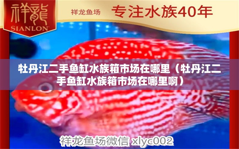 牡丹江二手魚缸水族箱市場在哪里（牡丹江二手魚缸水族箱市場在哪里?。? title=