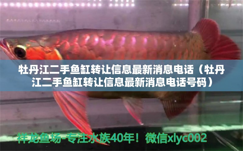 牡丹江二手魚缸轉(zhuǎn)讓信息最新消息電話（牡丹江二手魚缸轉(zhuǎn)讓信息最新消息電話號(hào)碼） 祥龍魚場(chǎng)