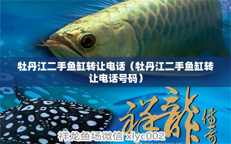 牡丹江二手魚缸轉(zhuǎn)讓電話（牡丹江二手魚缸轉(zhuǎn)讓電話號碼）