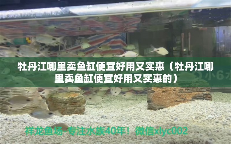 牡丹江哪里賣魚缸便宜好用又實(shí)惠（牡丹江哪里賣魚缸便宜好用又實(shí)惠的） 祥龍水族醫(yī)院