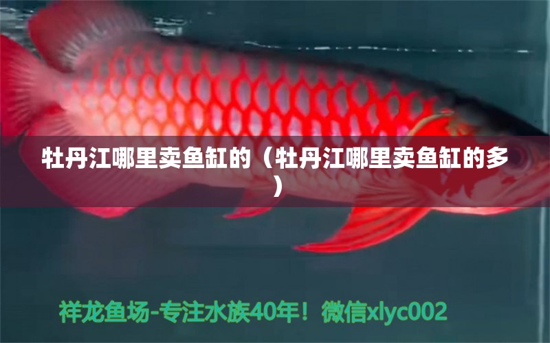 牡丹江哪里賣(mài)魚(yú)缸的（牡丹江哪里賣(mài)魚(yú)缸的多）