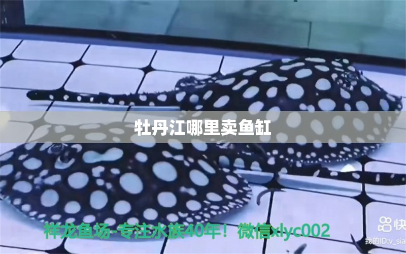 牡丹江哪里賣魚缸 其他品牌魚缸