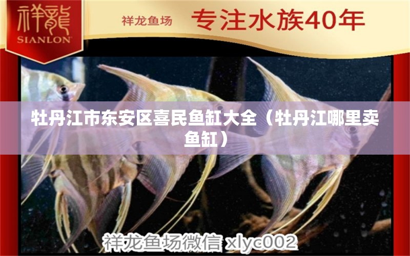 牡丹江市東安區(qū)喜民魚缸大全（牡丹江哪里賣魚缸） 全國水族館企業(yè)名錄