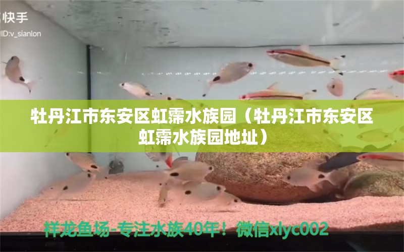 牡丹江市東安區(qū)虹霈水族園（牡丹江市東安區(qū)虹霈水族園地址） 全國水族館企業(yè)名錄