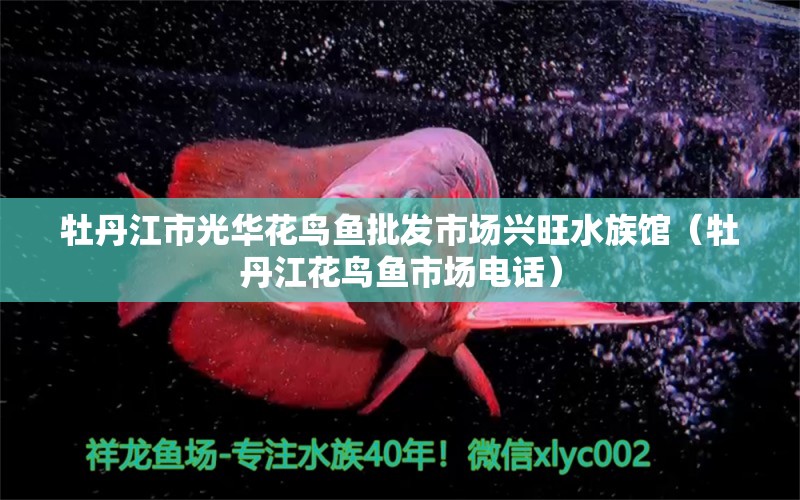 牡丹江市光華花鳥魚批發(fā)市場興旺水族館（牡丹江花鳥魚市場電話）