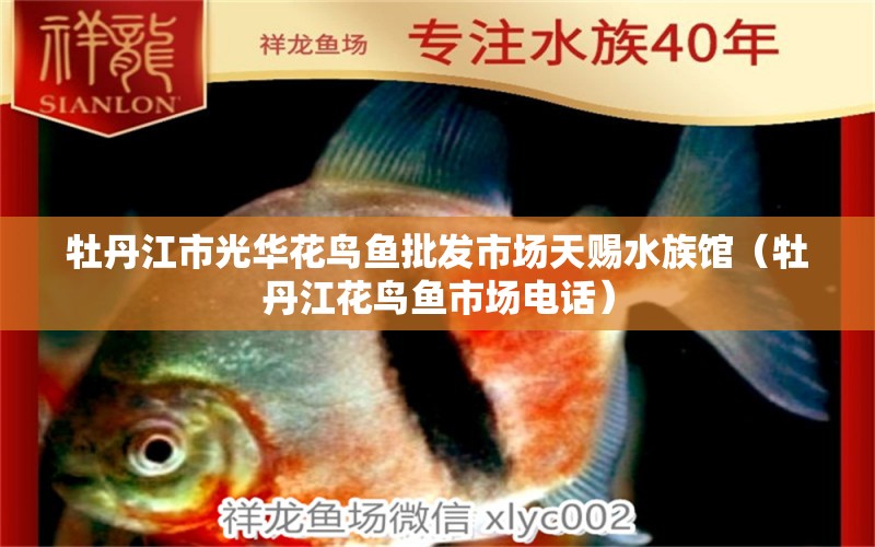 牡丹江市光華花鳥魚批發(fā)市場天賜水族館（牡丹江花鳥魚市場電話）