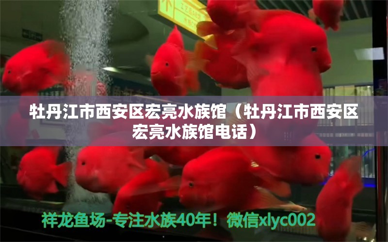 牡丹江市西安區(qū)宏亮水族館（牡丹江市西安區(qū)宏亮水族館電話） 全國水族館企業(yè)名錄