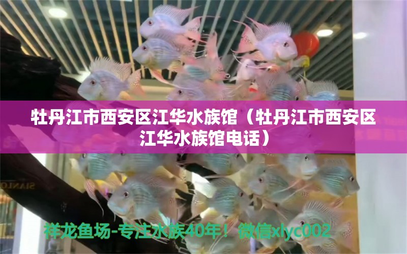 牡丹江市西安區(qū)江華水族館（牡丹江市西安區(qū)江華水族館電話） 全國水族館企業(yè)名錄