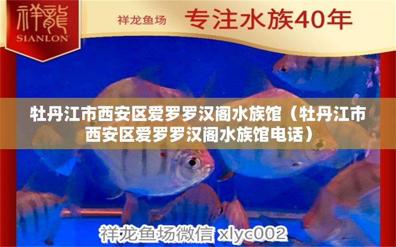 牡丹江市西安區(qū)愛羅羅漢閣水族館（牡丹江市西安區(qū)愛羅羅漢閣水族館電話）