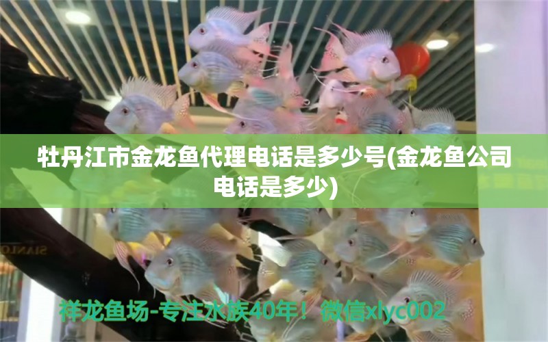 牡丹江市金龍魚代理電話是多少號(金龍魚公司電話是多少)