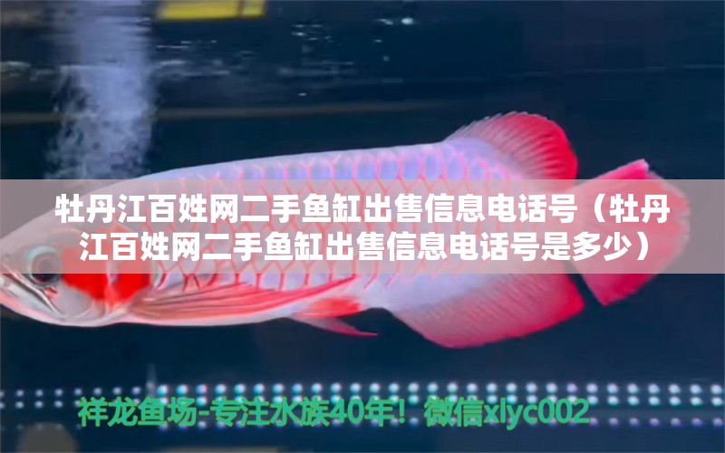 牡丹江百姓網(wǎng)二手魚(yú)缸出售信息電話(huà)號(hào)（牡丹江百姓網(wǎng)二手魚(yú)缸出售信息電話(huà)號(hào)是多少） 暹羅巨鯉