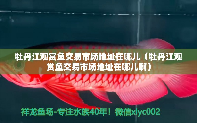 牡丹江觀賞魚交易市場地址在哪兒（牡丹江觀賞魚交易市場地址在哪兒?。? title=