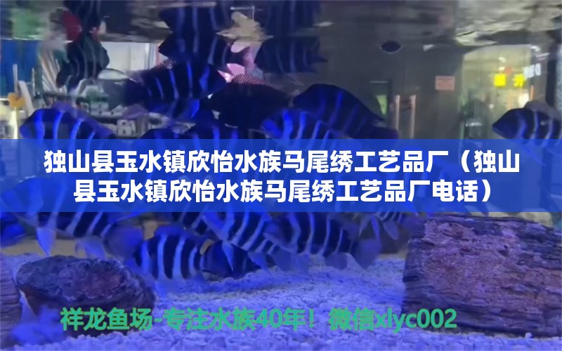 獨(dú)山縣玉水鎮(zhèn)欣怡水族馬尾繡工藝品廠（獨(dú)山縣玉水鎮(zhèn)欣怡水族馬尾繡工藝品廠電話） 全國水族館企業(yè)名錄