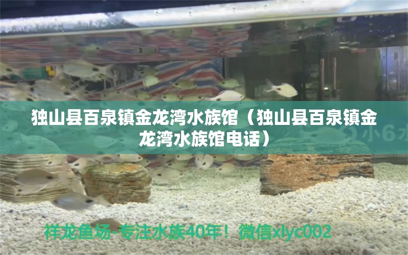 獨山縣百泉鎮(zhèn)金龍灣水族館（獨山縣百泉鎮(zhèn)金龍灣水族館電話） 全國水族館企業(yè)名錄