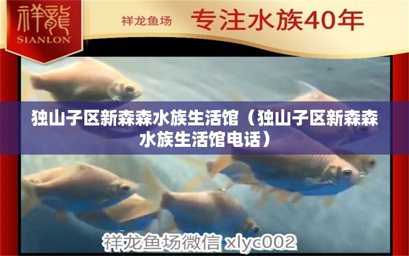 獨(dú)山子區(qū)新森森水族生活館（獨(dú)山子區(qū)新森森水族生活館電話） 全國水族館企業(yè)名錄