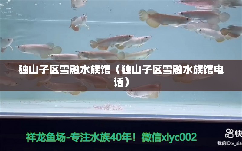 獨(dú)山子區(qū)雪融水族館（獨(dú)山子區(qū)雪融水族館電話） 全國水族館企業(yè)名錄