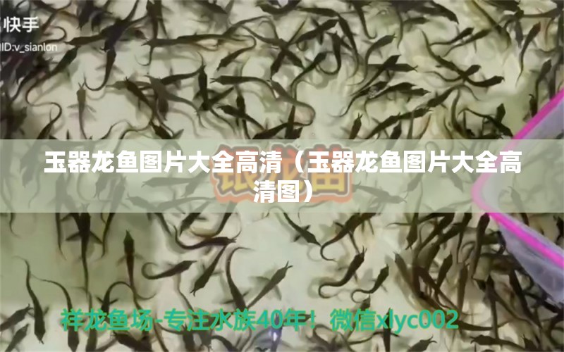 玉器龍魚圖片大全高清（玉器龍魚圖片大全高清圖） 祥龍水族醫(yī)院