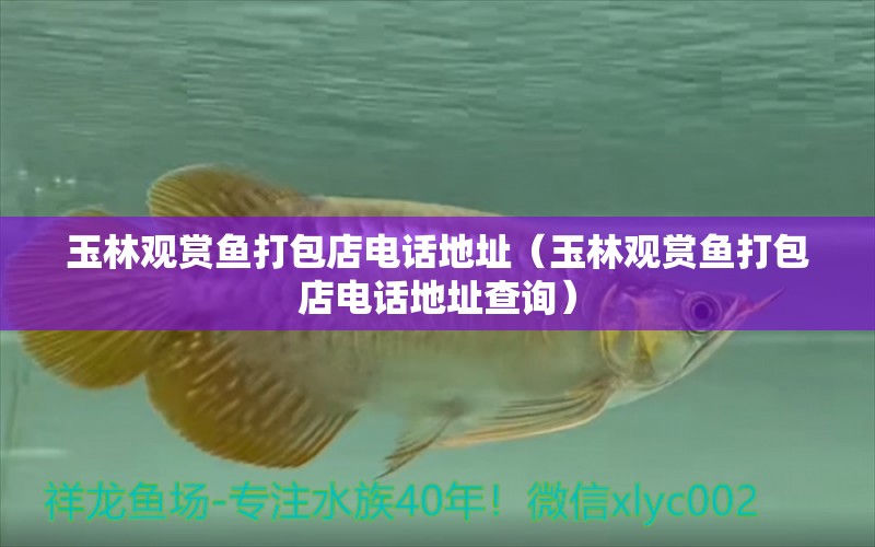 玉林觀賞魚打包店電話地址（玉林觀賞魚打包店電話地址查詢） 女王大帆魚