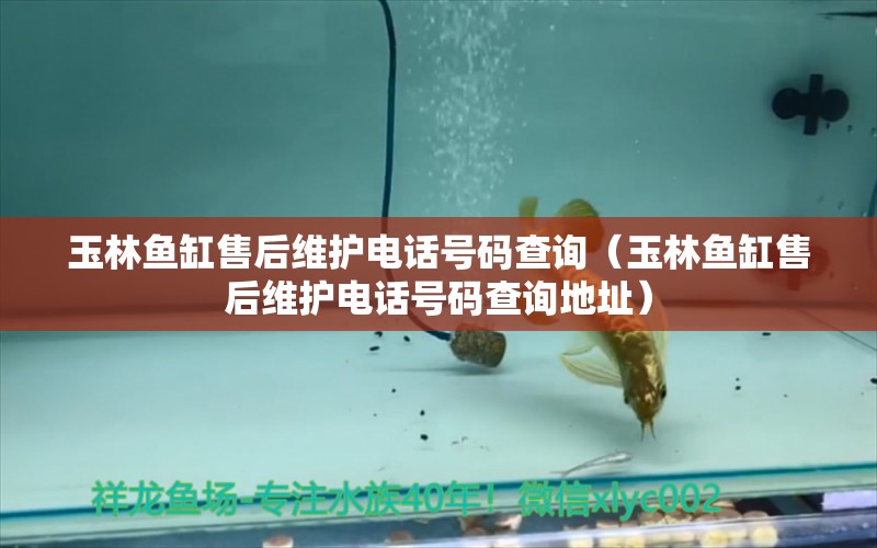 玉林魚缸售后維護(hù)電話號(hào)碼查詢（玉林魚缸售后維護(hù)電話號(hào)碼查詢地址）